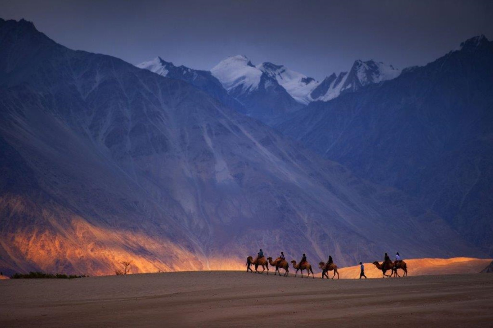 Nubra Valley Ladakh